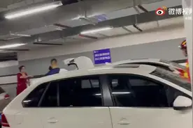 轿车惊现“巨物”女子惊慌报警，消防员两度出警结局亮了图片