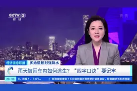 雨天被困车内如何逃生？“四字口诀”要记牢图片