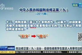 刑法修正案（九）出台：促使性侵男学生案进入刑事司法程序视频封面
