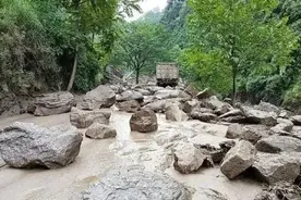 泥沙土石俱下，树倒房塌！375人缘何死里逃生？这十个案例太惊心动魄图片