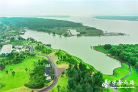 「总书记，安徽向您报告」渔民“三姑娘”上岸当“老板”图片