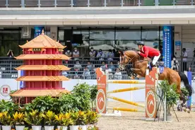 全运会马术项目完整版竞赛日程来了图片