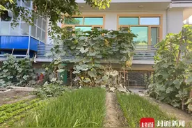 封面独家丨塔利班进入喀布尔之前，这位中国女商人放弃了在阿富汗开了十几年的中餐馆图片