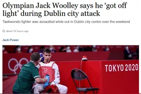 爱尔兰跆拳道国家队员街头遇袭，被一拳打得血肉模糊必须整容图片