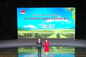 淮北、宿州、徐州葡萄“打擂”，百万人线上围观！图片