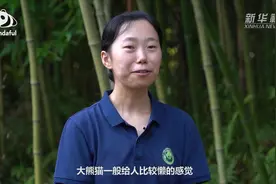 熊猫百问你来问｜大熊猫是不是特别懒？图片