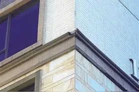 海口一天2起高空坠物，险伤孩子，砸凹奥迪……“肇事者”都是它图片