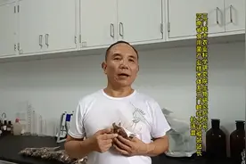河南食用菌育种有了新突破 又添一个香菇新品种“豫香2号”图片