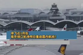 停飞近1月后，南京禄口机场明日重启国内航班！视频封面