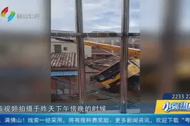 飞来横祸！佛山有村民花3000元找人砍树，结果吊车臂连砸5屋……图片