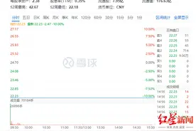 聚焦半年报｜千禾味业净利骤降近六成，股价腰斩！高管公募已大举减持图片