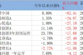 终于凑满10只！今年新基还没回本，平安基金李化松业绩不行数量凑图片