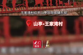 有山有水有历史，枣庄这里藏着一处美丽乡村值得打卡图片