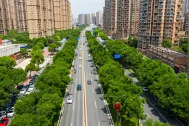 最美街道，实至名归图片