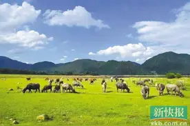 不出广东 也能在草原上纵情放歌图片