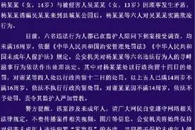 扯头发、打耳光！花臂女孩公园里带头群殴另一女孩！警方通报来了图片