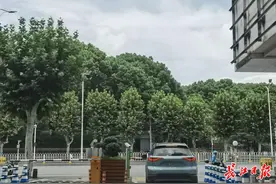 残疾人免费停车政策如何落实好？市残联将会同多部门研究讨论图片