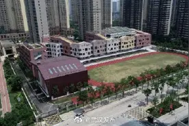 今年秋季汉阳5所小学开门迎新图片