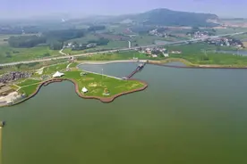 安徽巢湖：农旅融合绘就乡村振兴美丽画卷图片