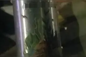 外卖小哥深夜送单，包裹里传来“叮叮当当”的声音！他立刻报了警……图片