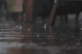 每天只需3元钱！夏末阴雨连绵时的烦心事就此解决→图片