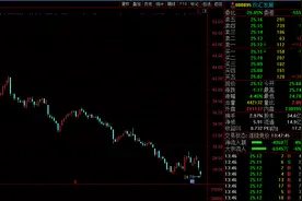 “父子内斗”业绩下滑 双汇发展一年暴跌60%图片