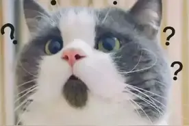 恶搞视频，赔7万图片