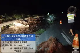 32吨玻璃碎成渣！货车高速上发生事故，邵阳高速多部门通宵清理除隐患图片