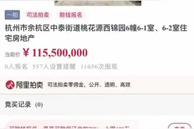 起拍价1.155亿，装修就花了7000万！阿里拍卖上线杭州最贵豪宅图片