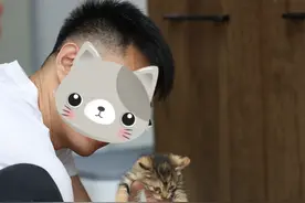 济南猫咪"绑匪头子"火了！钻车底、扒垃圾堆，开盲盒式逮猫领养图片