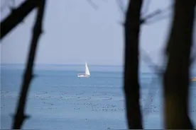 威海这座自带滤镜的海岛，又仙又野图片