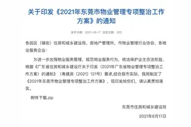 东莞最新发文！重点查处物业、业委会等违法违规行为图片