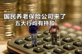 国民养老保险公司来了 五大行均有持股视频封面