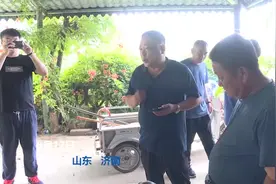济南长清村民发现辐射陆龟 还是国家一级保护动物图片