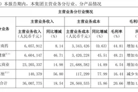 21深度丨白云山上半年营收361亿元 广药：“十四五”末要有5家上市公司图片