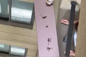 疫情主人不在家 小猫被困10楼阳台！邻居出手了图片