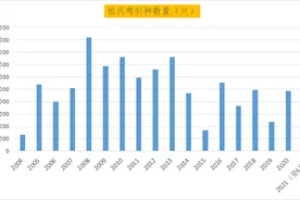 中国蛋鸡40年：四大育种困境待突破，未来20年是黄金期图片