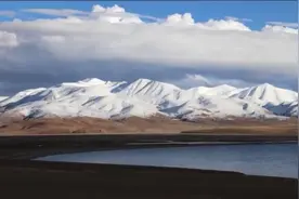 万类霜天竞自由！美丽羌塘的生命力视频封面