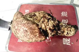 比香格里拉“松茸王”和“王后”还大 丽江一朵松茸重0.88千克图片