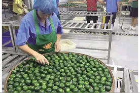 农行江门分行：金融插上科技“翅膀”飞入千家万户图片