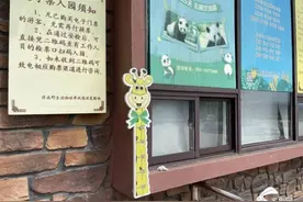 好消息！济南一大波景区儿童免票身高线提至1.4米图片