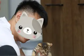 济南猫咪“绑匪头子”火了！钻车底、扒垃圾堆 开盲盒式逮猫领养图片