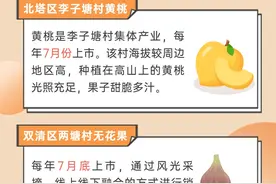 图说 | 在邵阳，一年四季都有“好果子”吃图片