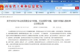 德州11家企业入围！山东民营企业100强、行业领军10强、创新100强名单公示图片