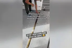 国外夫妻总闻到卧室有臭味 揭开地毯发现下面藏了个下水道图片