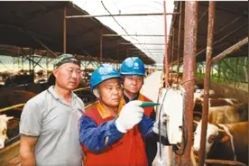 雷锋精神永传承创优服务惠群众图片