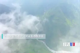 定心丸！这里的民宿有了40年不动产权！是你的“诗和远方”吗？图片