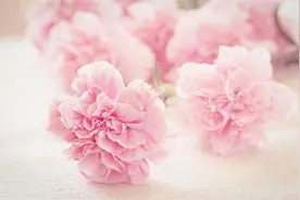 上游•夜雨丨归燕：致老师生日贺图片