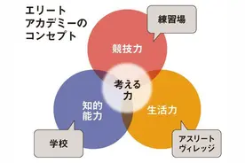 揭开日本奥运乒乓夺金秘籍：每天只练4小时、年收入过亿？图片