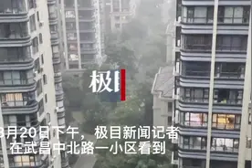 大雨送“伏天”图片